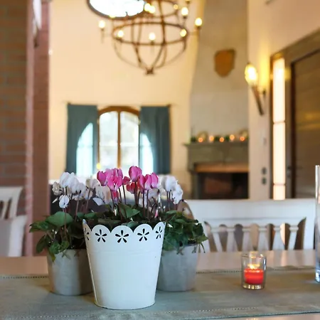 Leopolda By Interhome Villa